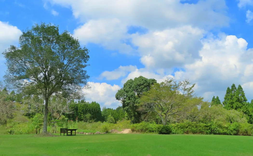 キービジュアルイメージ